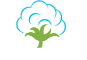 Santafibra