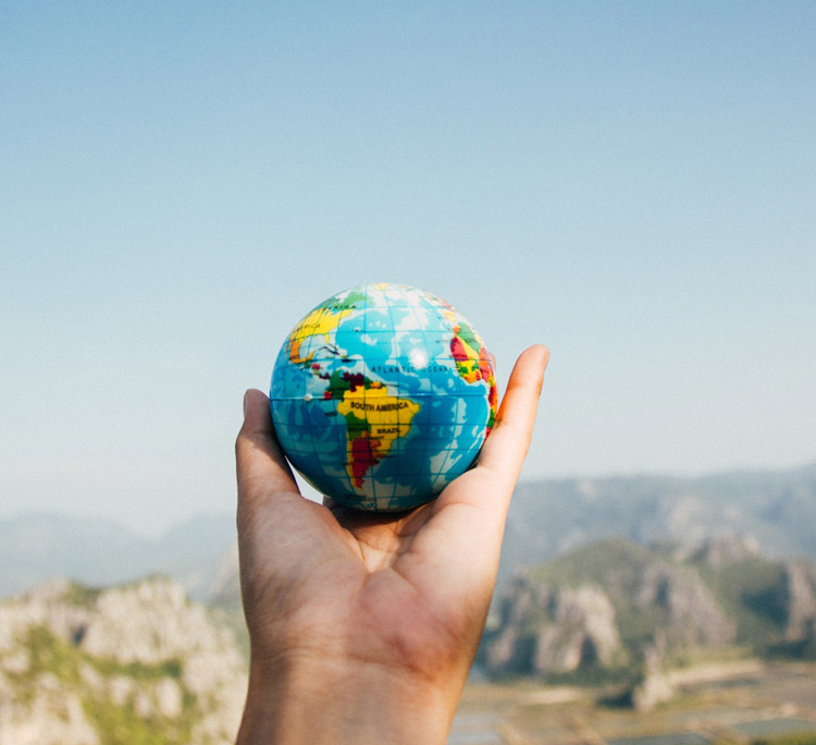 Representación-y-prospección--de-agentes-y-colaboradores